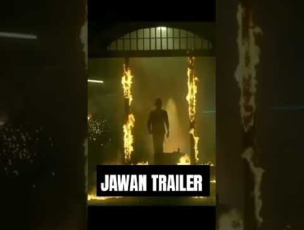 Jawan Trailer Review ll Sharukh Khan ll #jawantrailer #jawanmovie #shahrukkhan #bollywood